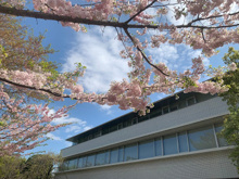 中学校 小石川淑徳学園中学校高等学校