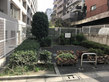 小石川三丁目緑地 飛び地