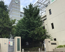 東京都立竹早高等学校