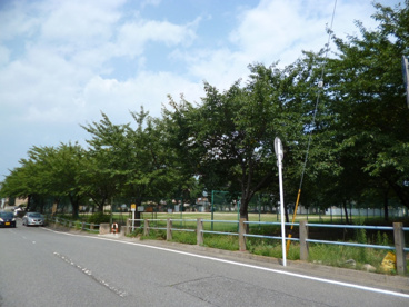 滝川公園の画像1