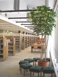 渋谷区立 こもれび大和田図書館の画像1