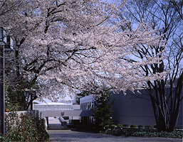 嘉悦大学の画像3