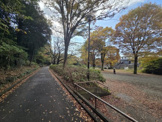 瀬谷中央公園