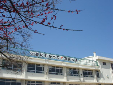 宮前小学校の画像1