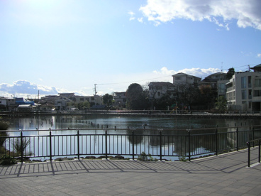 小池公園の画像1