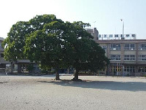 下川淵小学校