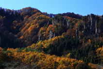 内山峡