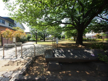 さくら公園の画像1