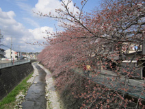 長坂緑地