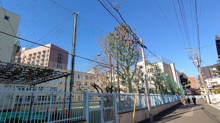 文京区立関口台町小学校