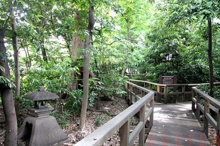 文京区立千石緑地