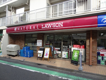 ナチュラルローソン 九品仏小前店の画像1