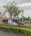セブンイレブン藤沢羽根沢店