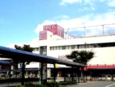 港南台バーズ