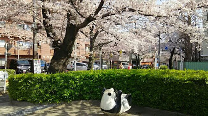 かむろ坂公園の画像1