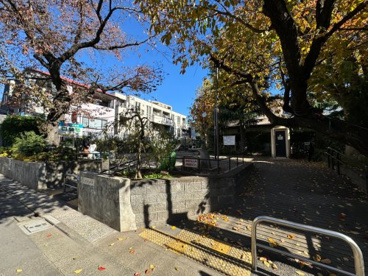 原町児童遊園の画像1