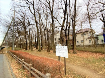 川越市/市民の森第7号の画像1
