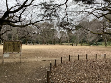 目黒区立駒場公園の画像2