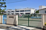 若葉小学校
