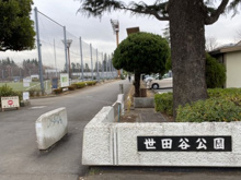 公園 世田谷公園