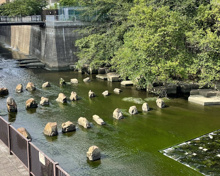 公園 目黒川船入場