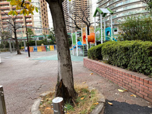 公園 大崎五丁目遊園