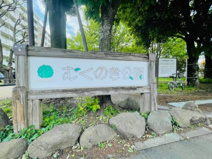 むくのき公園