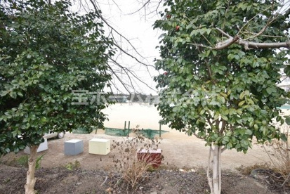 千葉県立船橋北高校の画像3