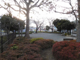 江の島公園