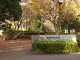 諏訪の森公園