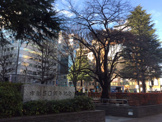 立川北口公園