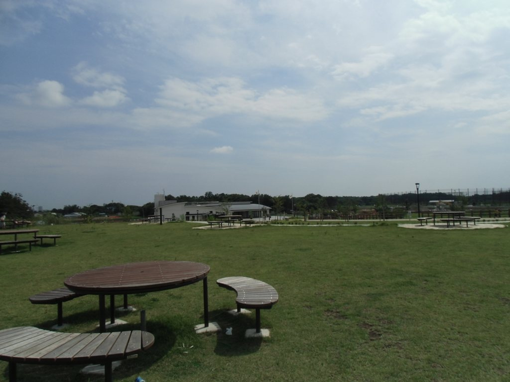 引地川公園　ゆとりの森の画像