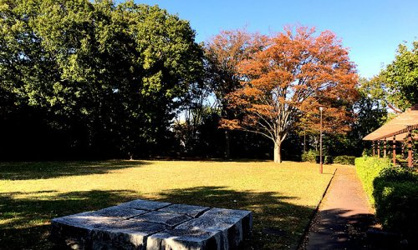 大塚東公園の画像1