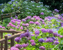 多摩川台公園