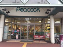 ピーコックストア 花小金井店