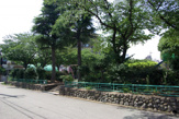 公園 上坂部西公園