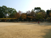 長洲公園