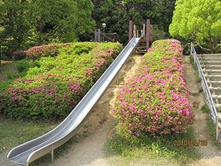 都田第４公園の画像2