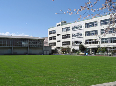 新宿小学校の画像1