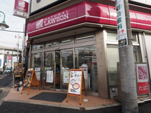 ナチュラルローソン 上野毛一丁目店