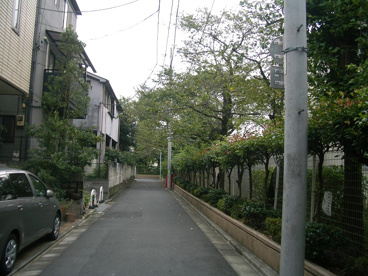 富士見台小学校の画像3