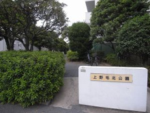 公園 上野毛北公園