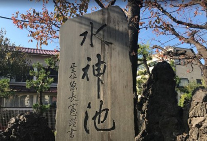 原の水神池の画像1