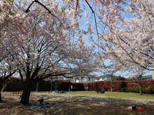世田谷区立等々力八丁目公園