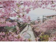 淀緑地の画像1