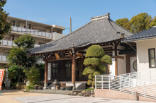 寺院・神社 安楽寺