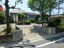 かせい公園