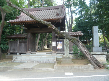 泉龍寺の画像2