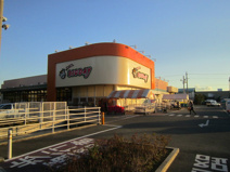エブリィビッグデー有玉南店