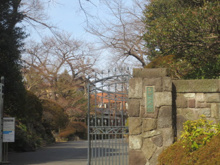 香蘭女学校 中等科・高等科